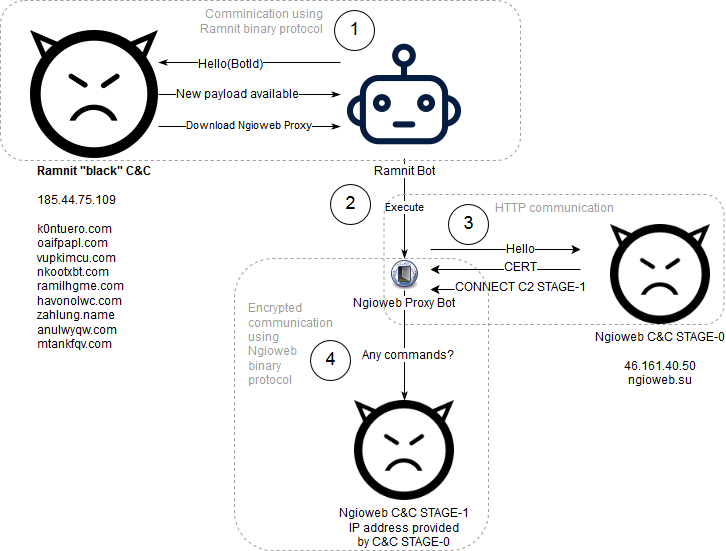 Ngioweb infection and early communication