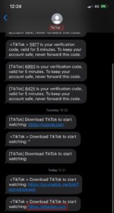 Tik or Tok? Is TikTok secure enough? - Check Point Research