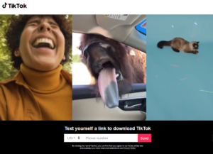 Tik or Tok? Is TikTok secure enough? - Check Point Research