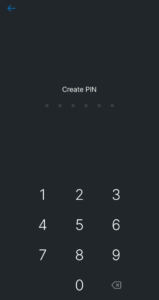 PIN code setup in Ever Surf