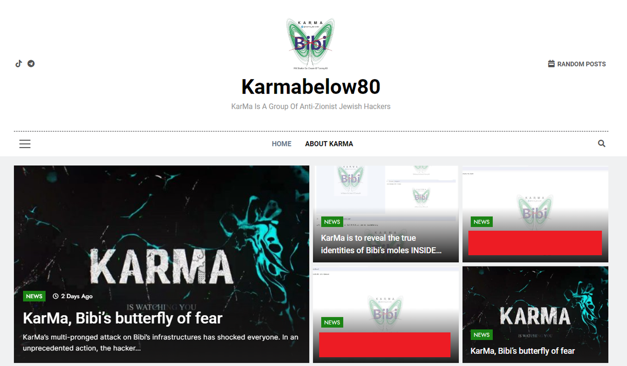 Figure 1 - A snippet from the Karmabelow80 website.